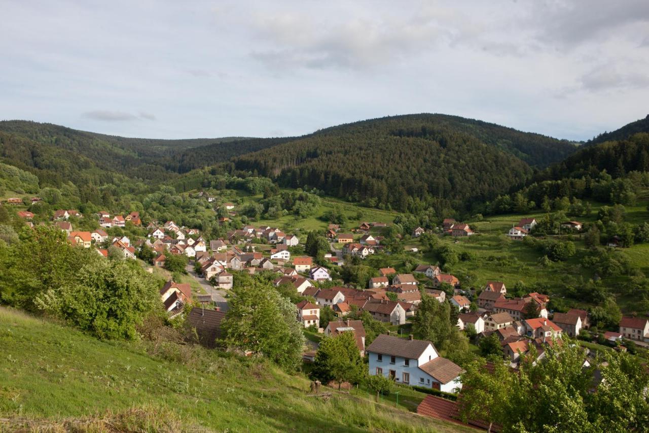 Hotel Restaurant Auberge Metzger Natzwiller エクステリア 写真